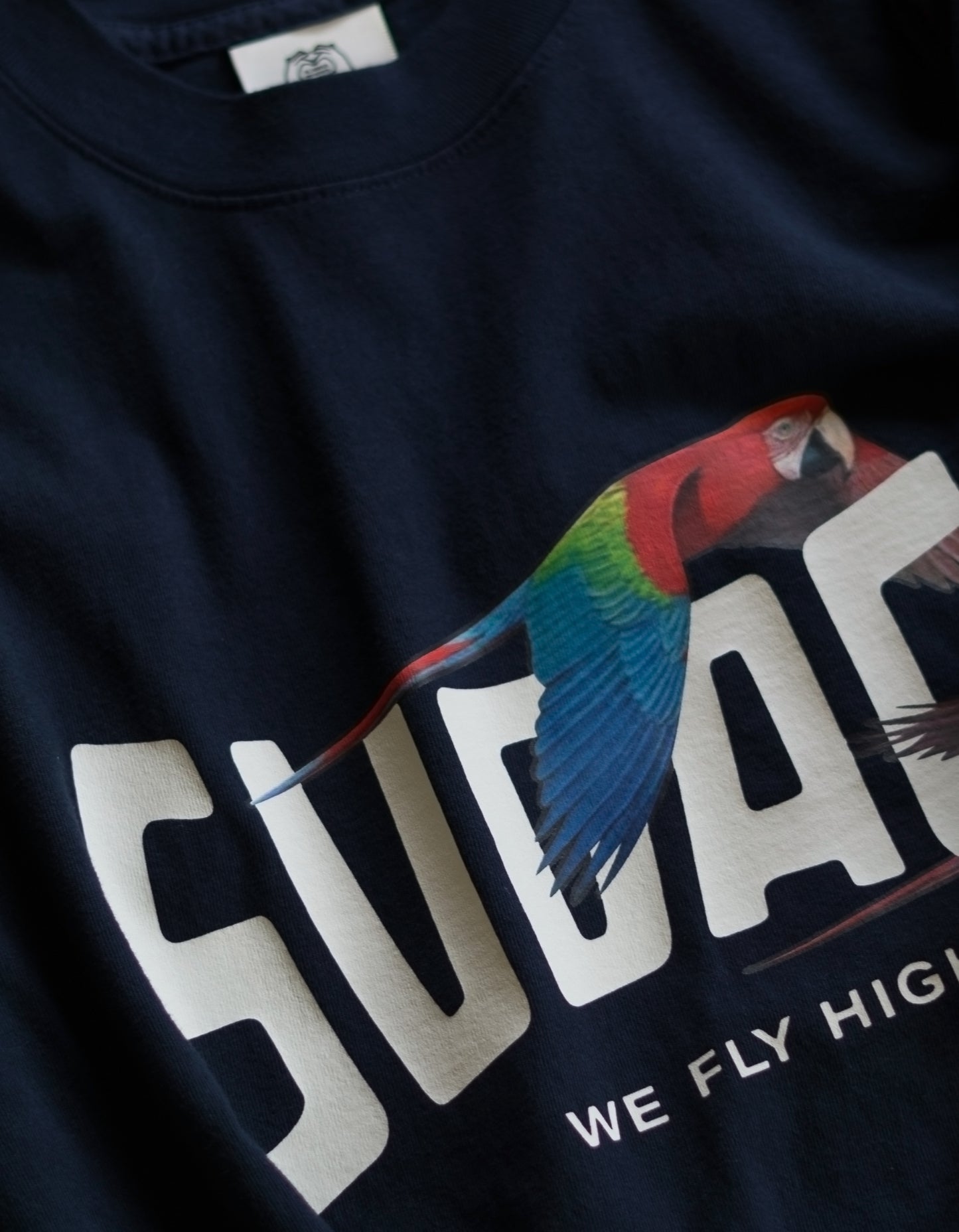 We Fly High