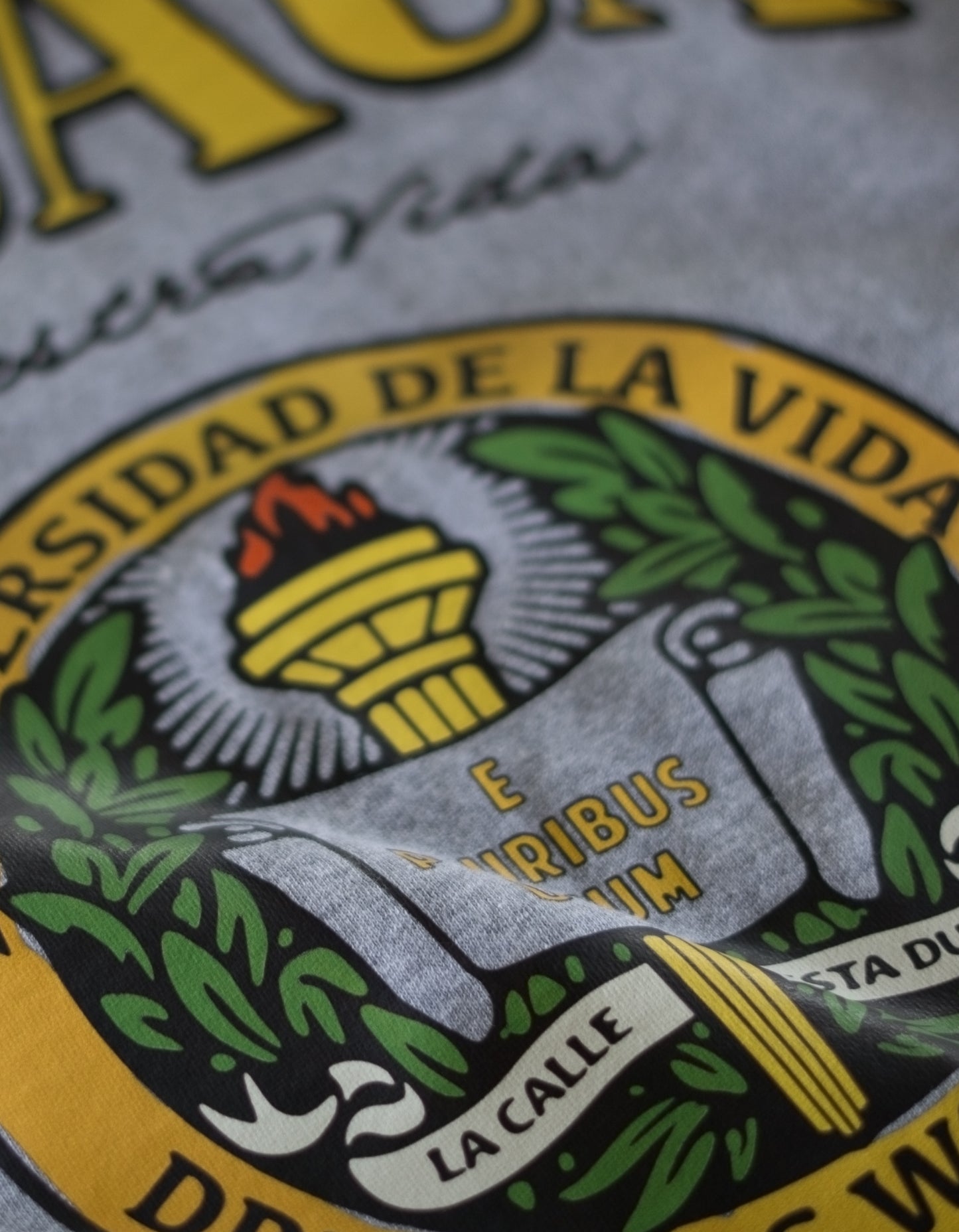 Maestra Vida