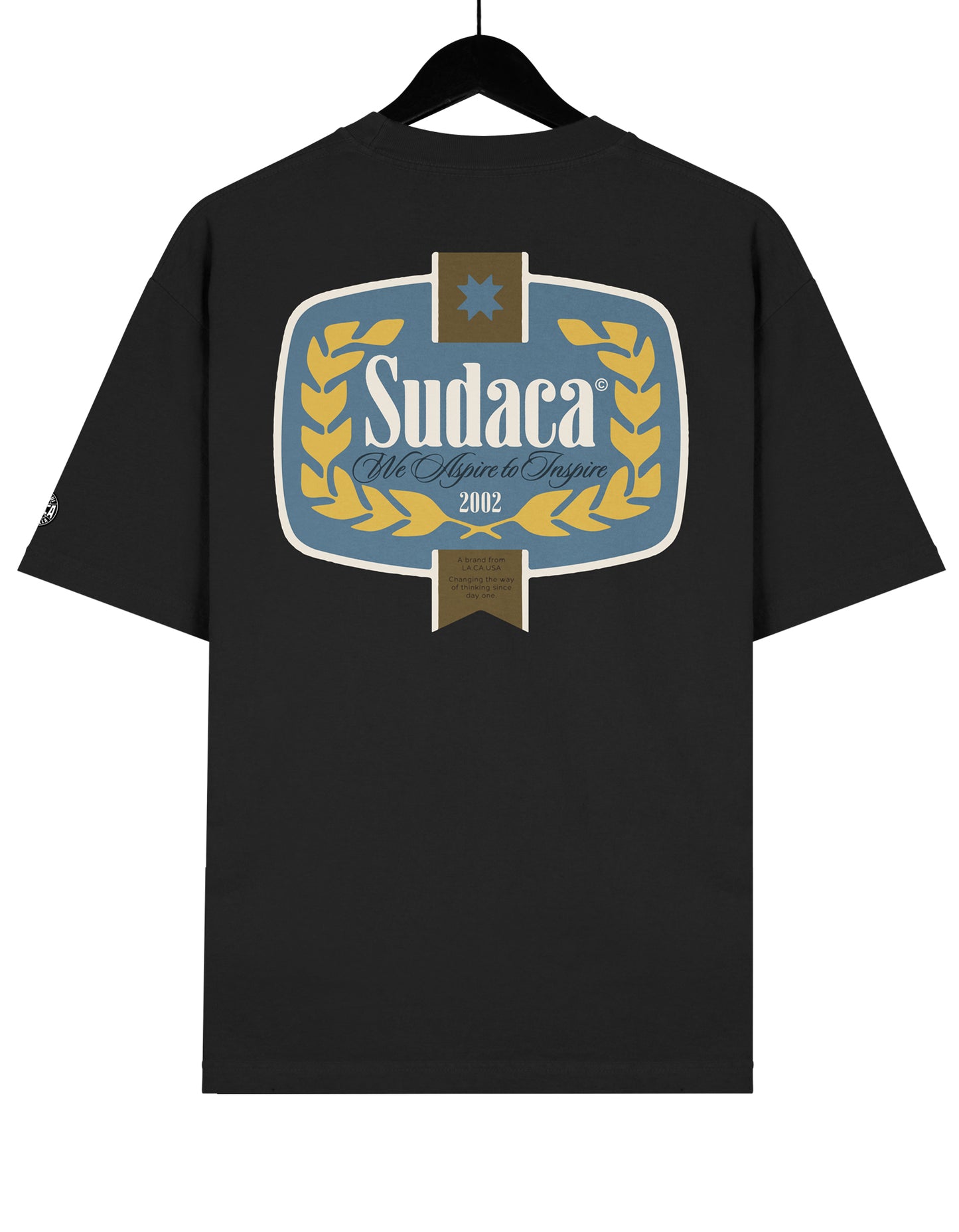 We Aspire to Inspire