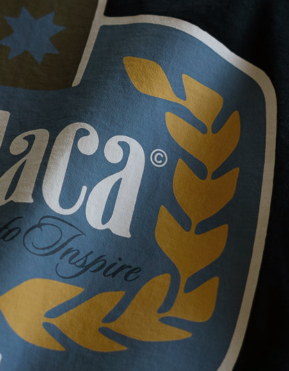 We Aspire to Inspire