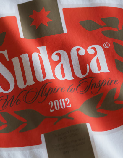 We Aspire to Inspire